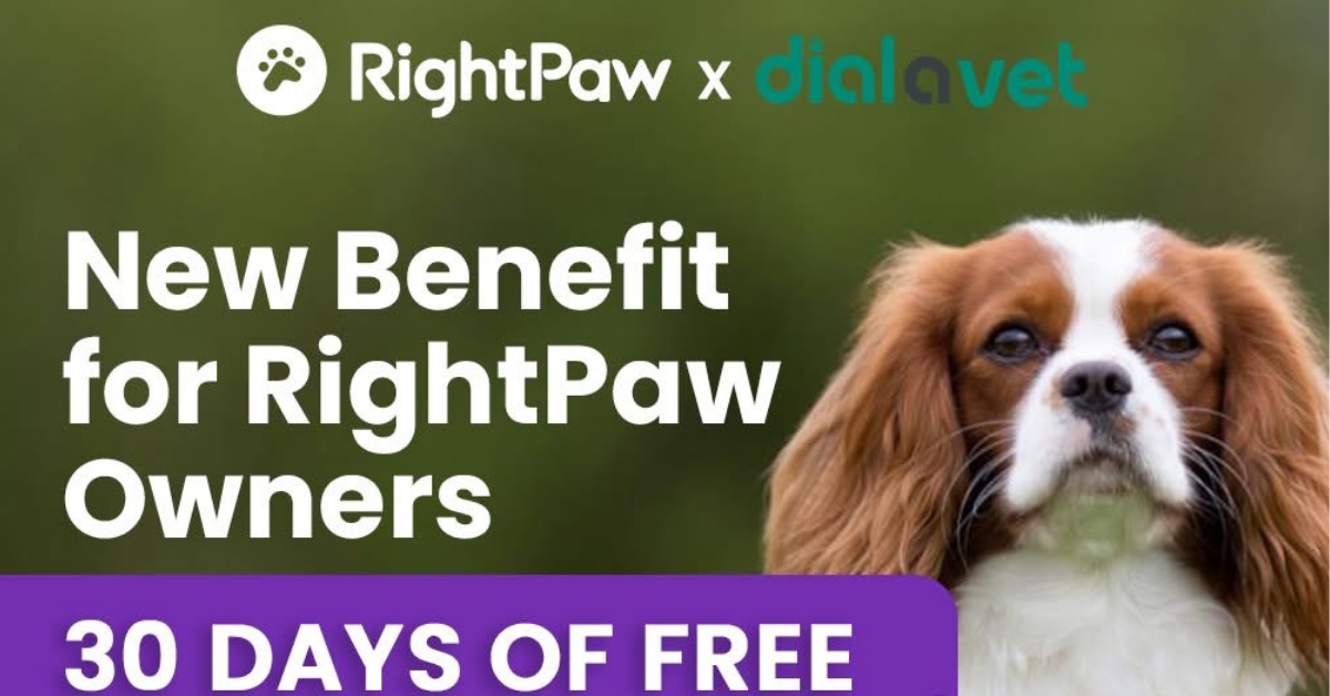 Rightpaw and dial a vet partnership