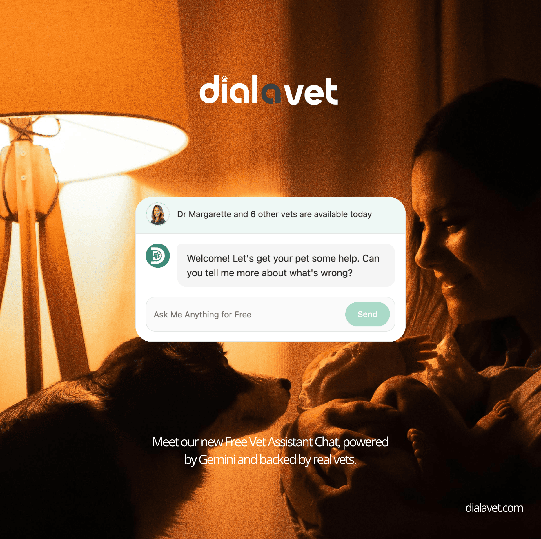 Free Vet Chat Dial A Vet