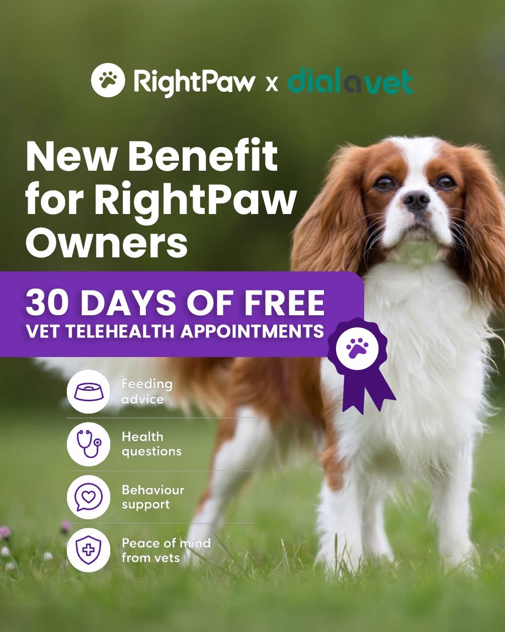 Rightpaw and dial a vet partnership