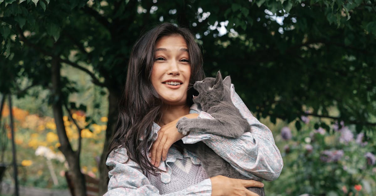 A cat with an irritated expression, swatting at a hand trying to pet it, demonstrating petting aggression.