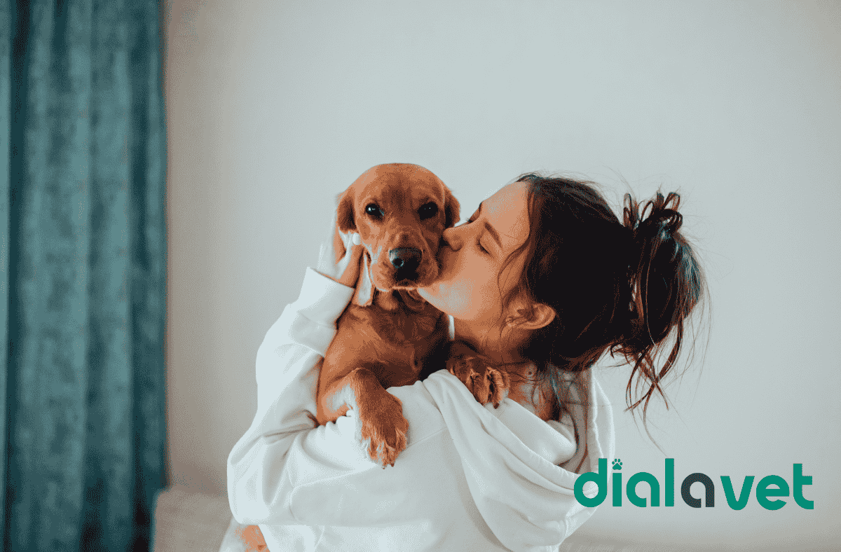 Best Girl Dog Names – Cute,