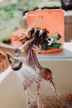 A cat curiously examining fresh beets on a kitchen countertop, highlighting the topic of feline nutrition and safety.