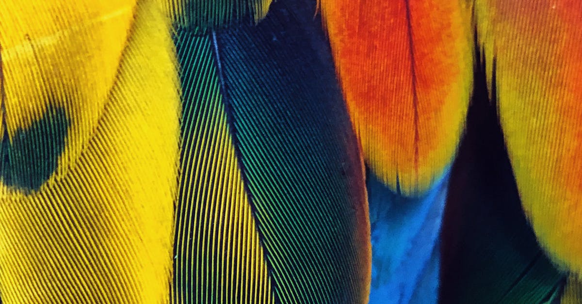 Vibrant Yellow-Naped Amazon Parrot perched on a branch, showcasing its colorful feathers and distinctive yellow neck markings.